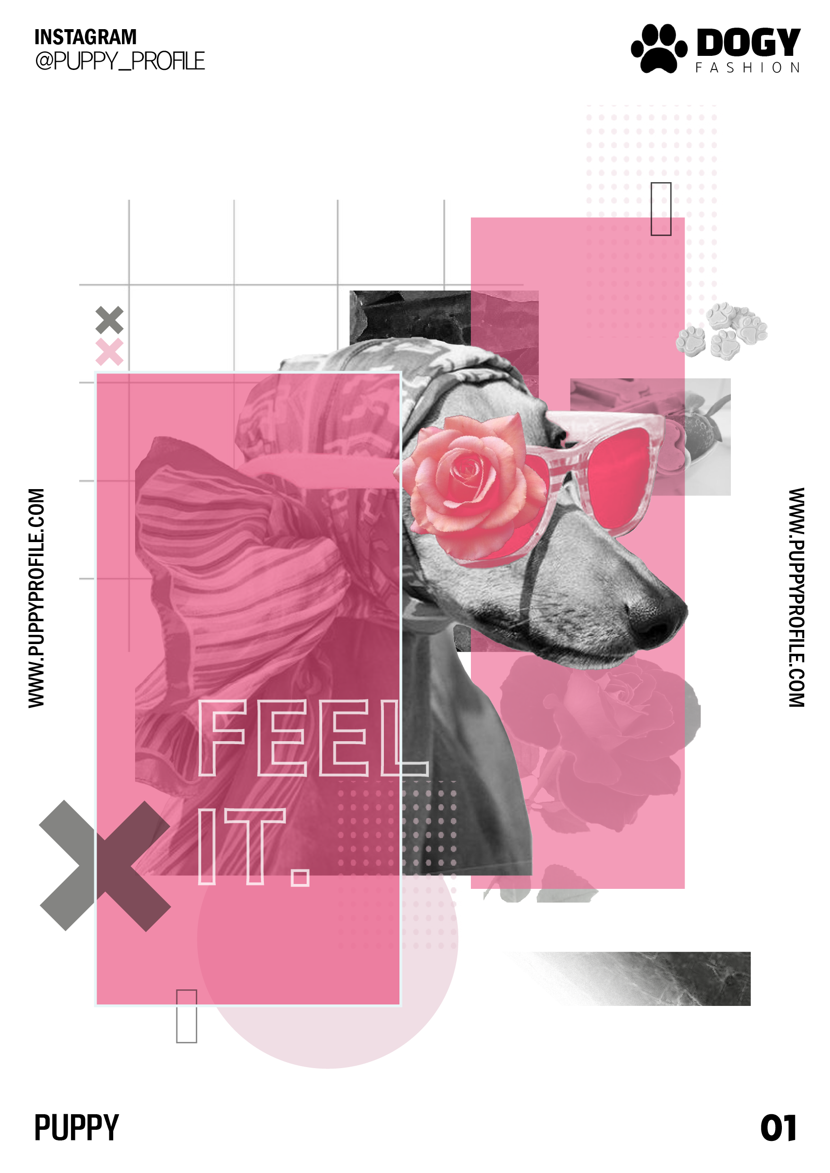 반려동물 잡지 표지 디자인