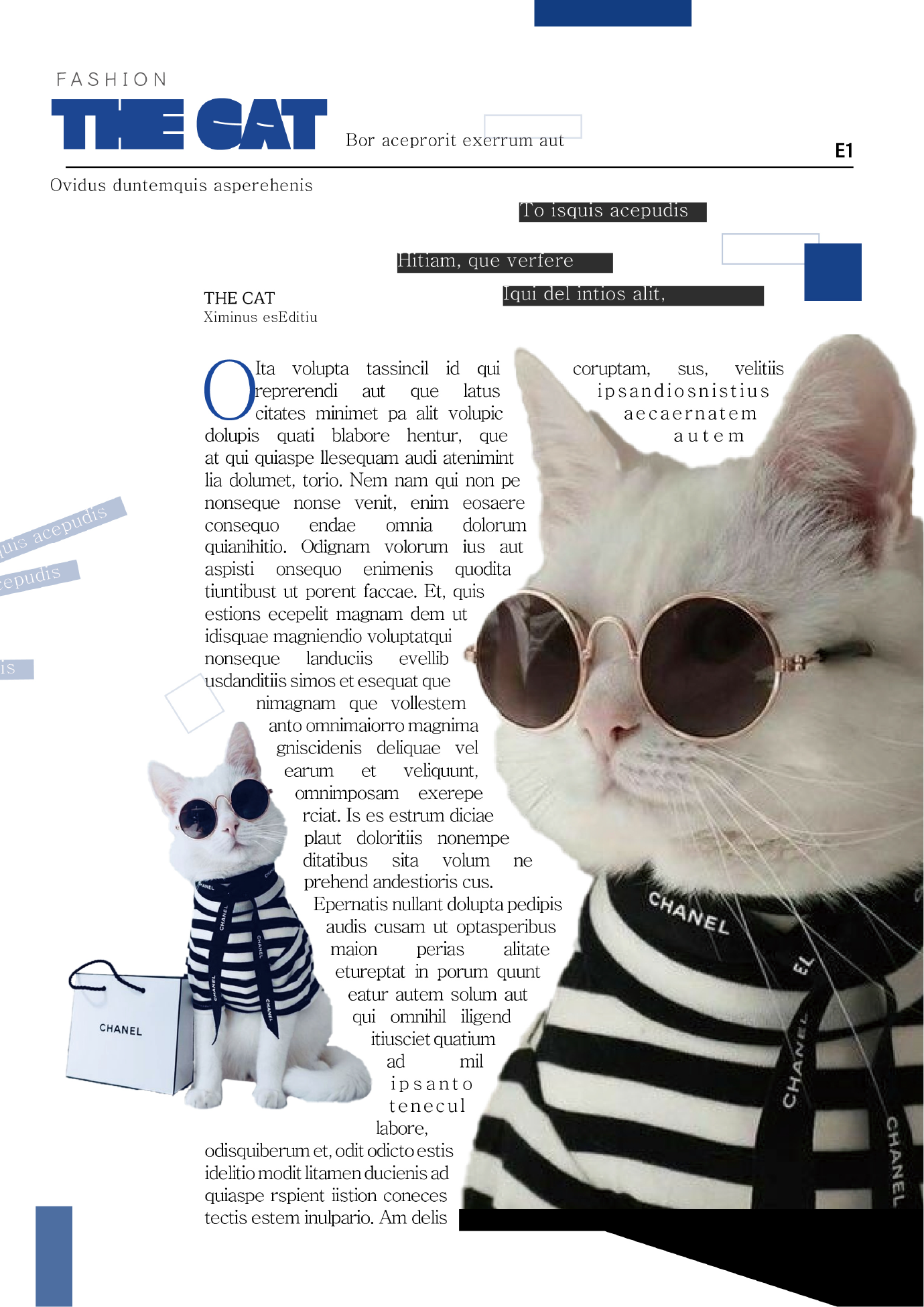 반려동물 잡지 내지디자인2