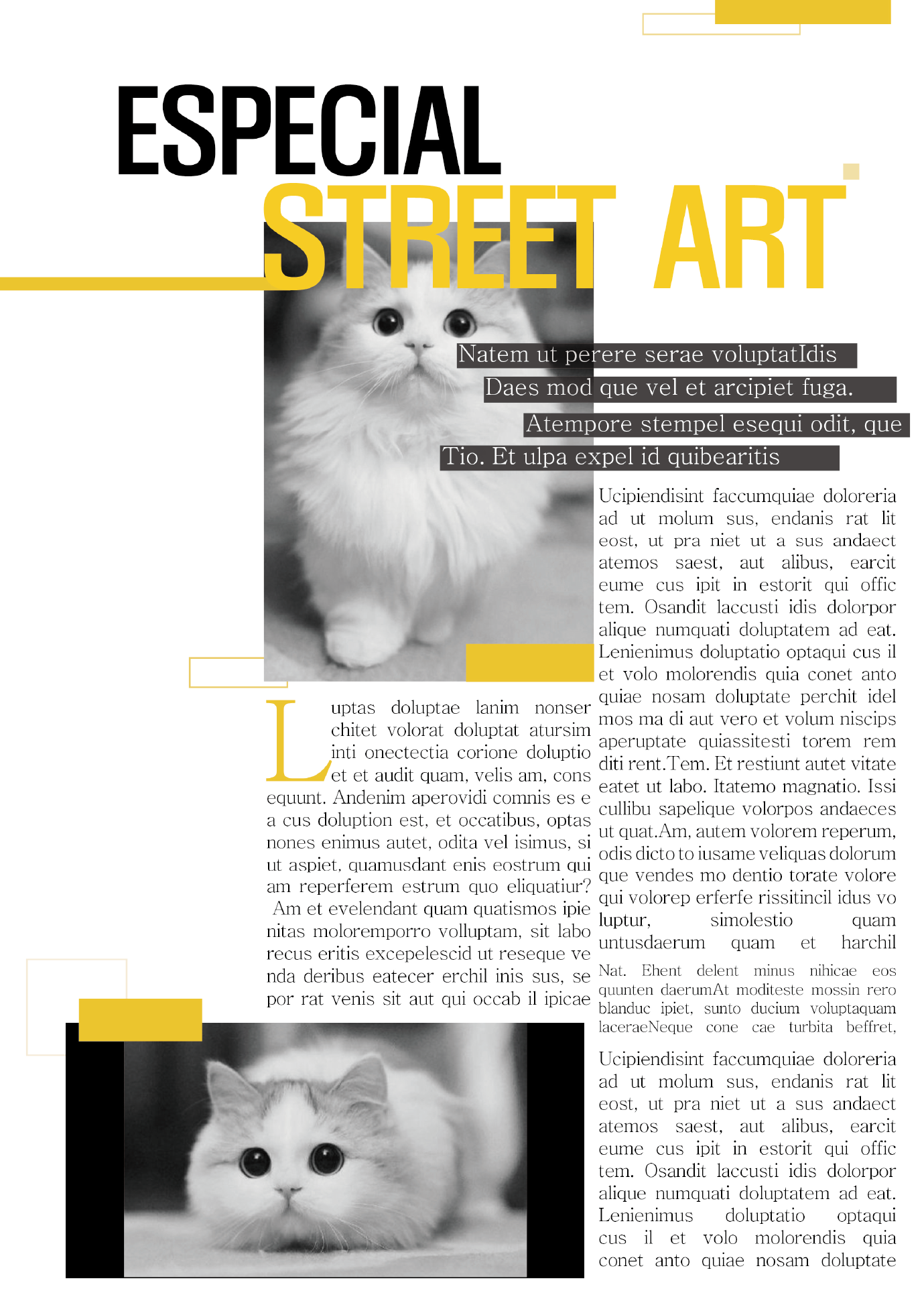 반려동물 잡지 내지디자인4