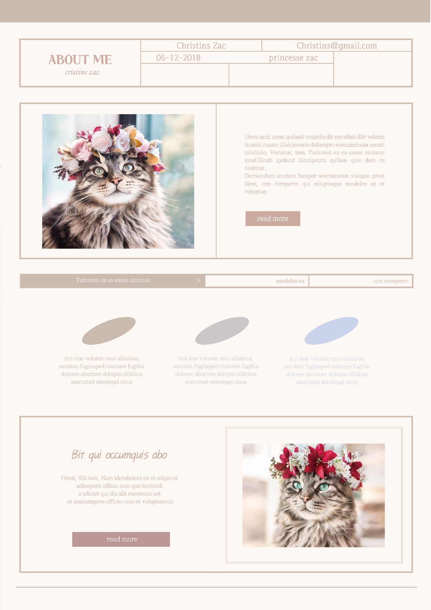 반려동물 프로필 디자인